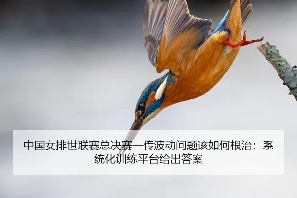 中国女排世联赛总决赛一传波动问题该如何根治：系统化训练平台给出答案